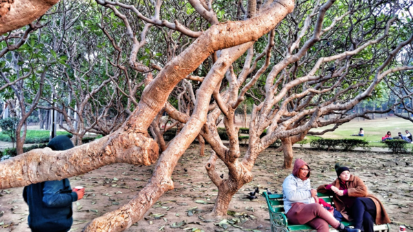 Lodhi Garden