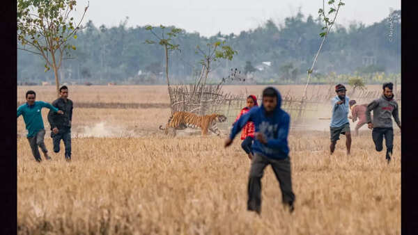 Photo by Nejib Ahmed