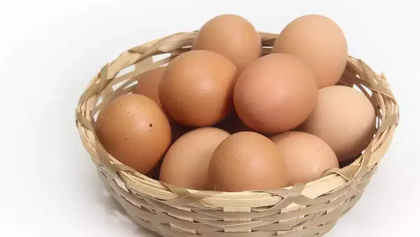 egg 45