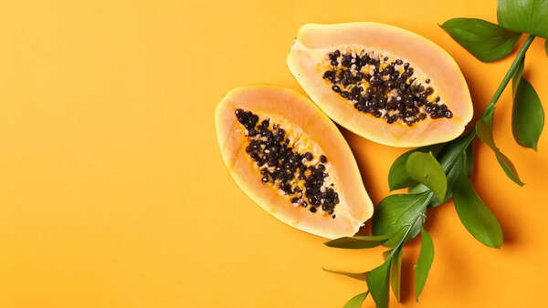 Nutrition in papaya seeds