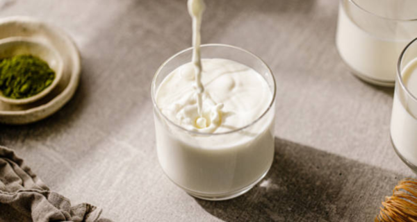 7 regular milk alternatives for lactose intolerants