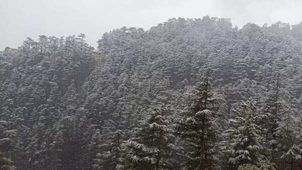 Shimla snowfall