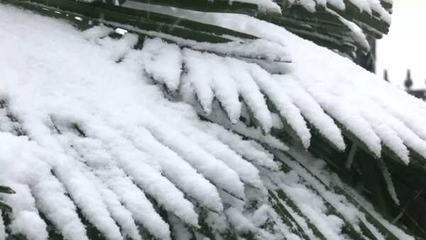 Shimla snowfall