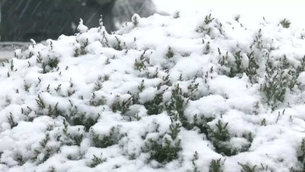 Shimla snowfall