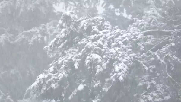 Shimla snowfall