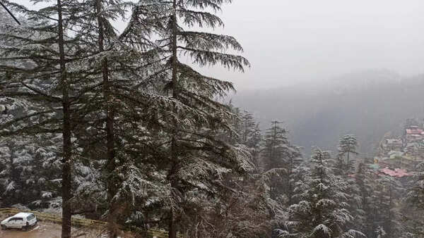 Shimla snowfall