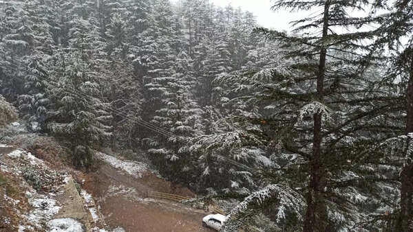 Shimla snowfall