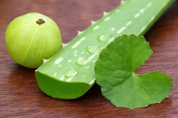 Aloe Vera and Amla Shot: How to Consume for Hair Growth |