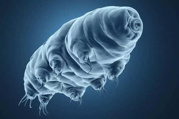 Chandrayaan-3 tardigrade (Representative Image: Canva)