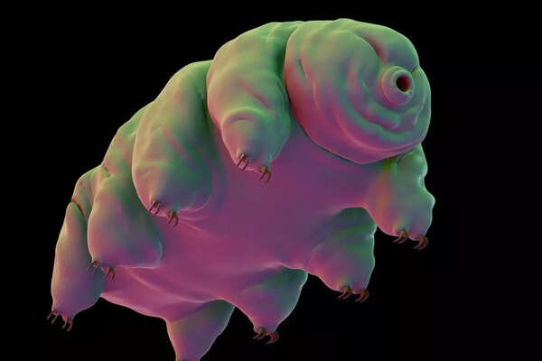 Chandrayaan-3 tardigrade (Representative Image: Canva)