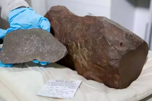 Maryborough meteorite (Credits: Sciencealert)