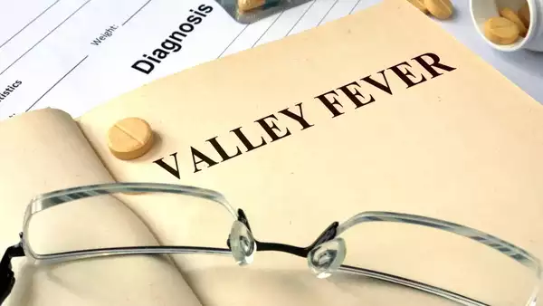 valleyf