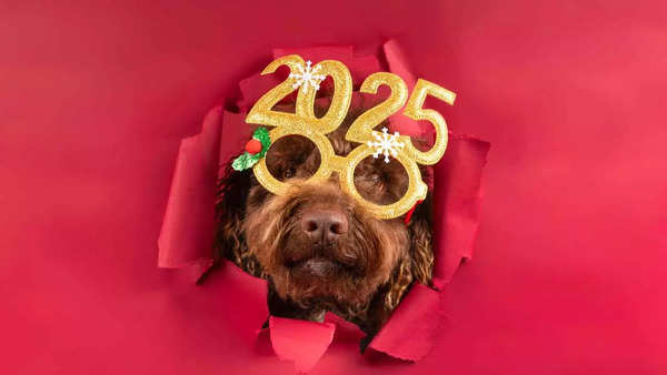 Happy New Year Images, Pics