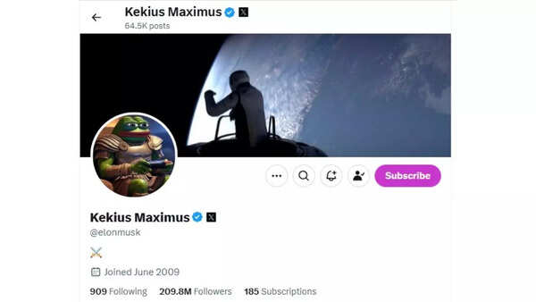 A screenshot of Elon Musk's profile