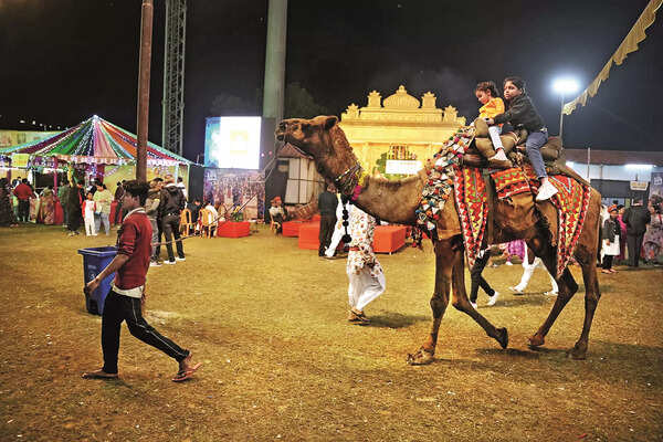p2_ss_Lok Sanskriti Mela (38) - Copy