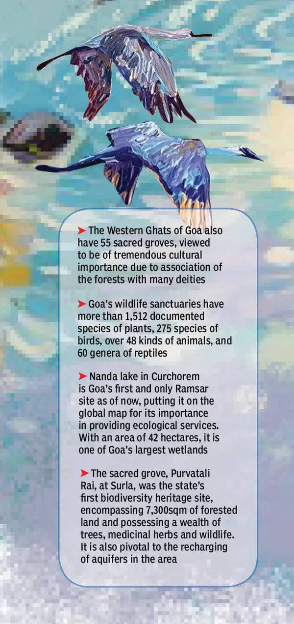 Goa's wildlife