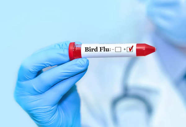 Researchers find concerning mutation in H5N1 bird flu found in Canadian teen |