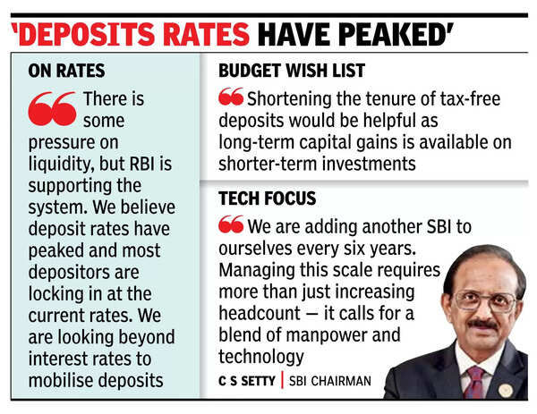 Eco slowdown seasonal, need pvt capex: SBI chief