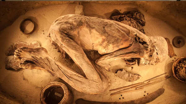 Egyptian mummy displayed in museum in Turin