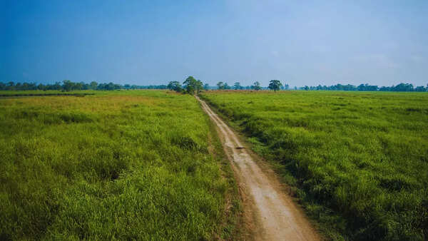 Kaziranga National Park