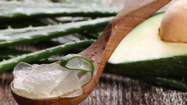 aloe vera gel philippines Aloe Vera Gel – Lemongrass House Philippines main image 0
