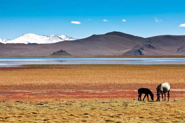 Tibetan Plateau