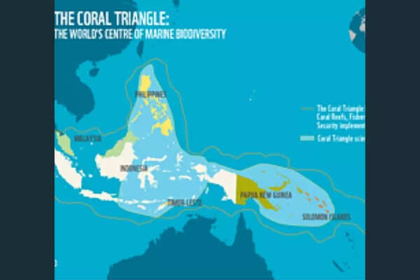 The coral triangle (Credits: The reef world foundation)