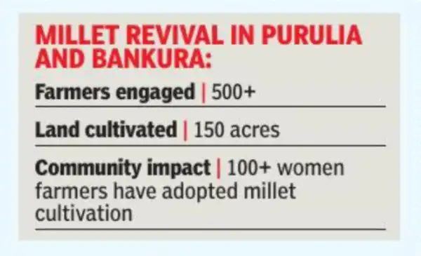 Millet revival in Purulia and Bankura