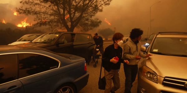 People flee from the advancing Palisades Fire, by car and on foot, in the Pacific Palisades neighborhood of Los Angeles (Pic credit: AP)