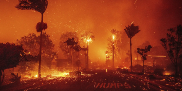 The Palisades Fire ravages a neighborhood amid high winds in the Pacific Palisades neighborhood of Los Angeles (Pic credit: AP)