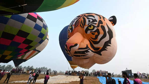hot air balloons
