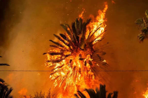 LA wildfire 2025 (Credit: X)