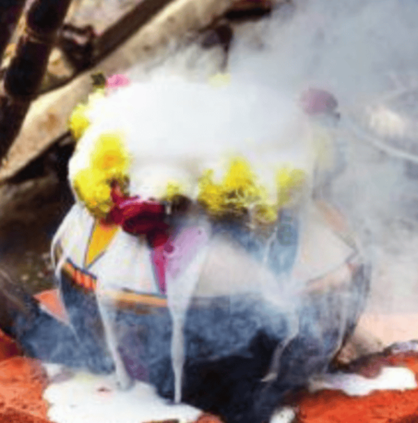 On Pongal, Tamil families perform traditional rituals, honoring their heritage and evolving customs