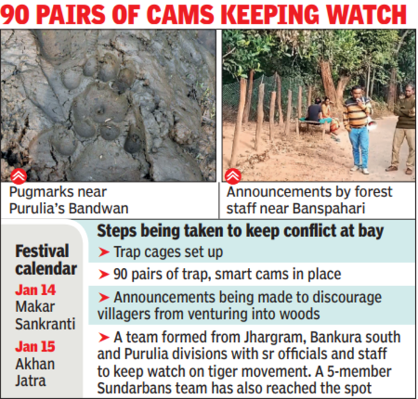 Around 90 pairs of cameras and over 150 personnel are involved in tracking the tiger