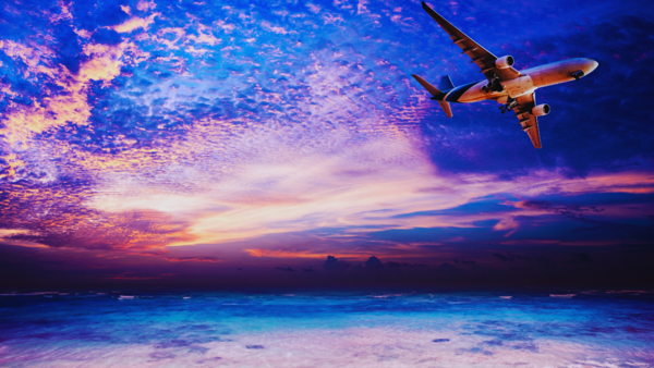 flight