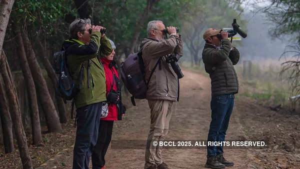 Join a birding group or go birding with a guide