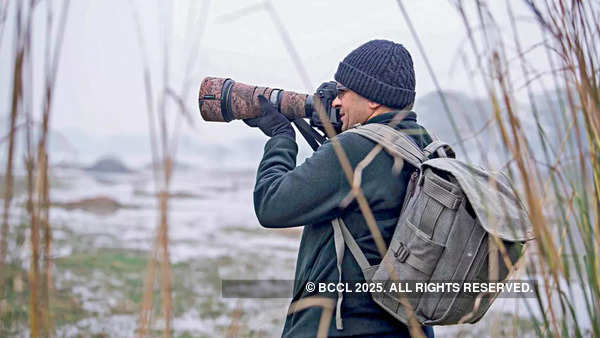 'Make an account on eBird for information on birds spotted in your location'