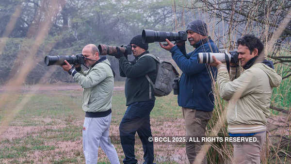 Sultanpur National Park, Chandu-Bhudera, Najafgarh Jheel and the Aravalli belt are some of the favourite spots for migrant birds