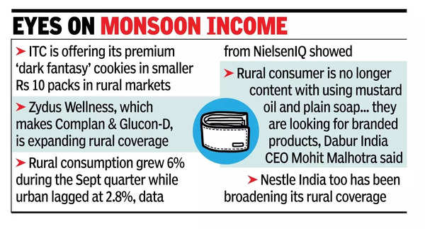 FMCG cos woo rural market as urban slows.