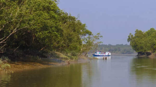 Sundarbans River Cruise