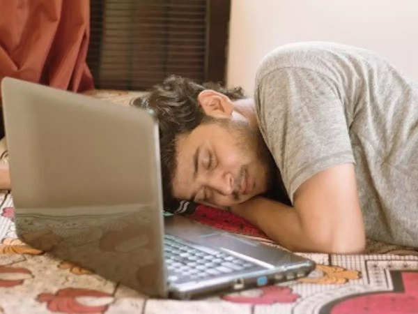 Software developer asleep