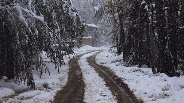 Snowfall in Kashmir Valley