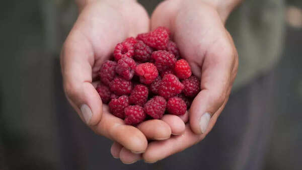 Berries (2)