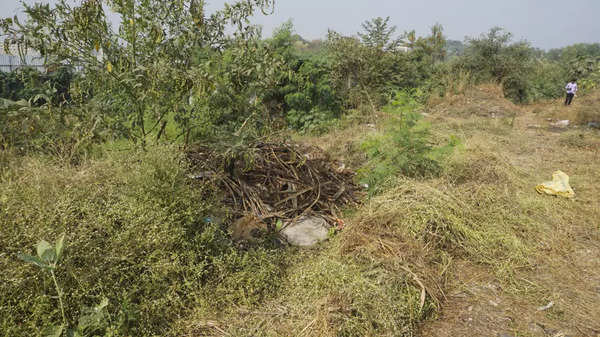 The area from where Shariful was caught in Thane. He had concealed himself in the vegetation by covering himself with dry leaves.