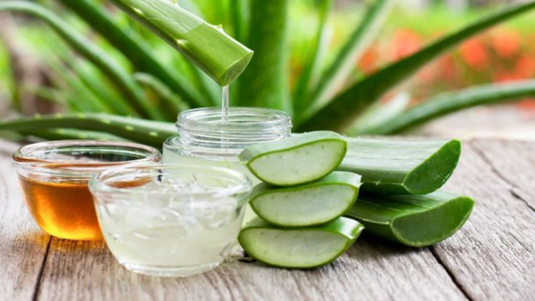 Aloe Vera and Honey face mask