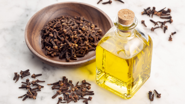 Health benefits of clove: What happens to your body if you chew a clove daily | - The Times of India