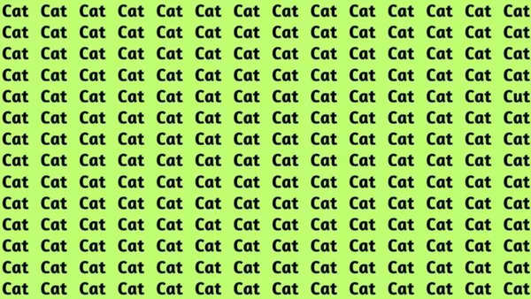 find-hidden-word-cut-among-cats-optical-illusions