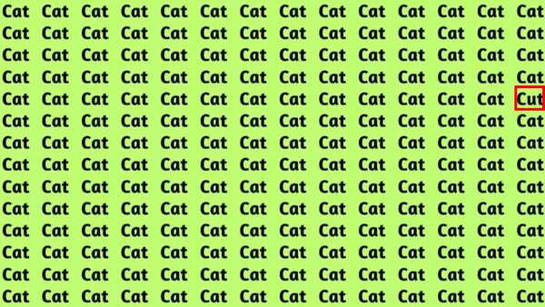 find-hidden-word-cut-among-cats-optical-illusions-with-answers