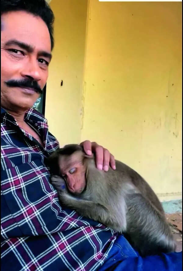 Atul Kulkarni (2)