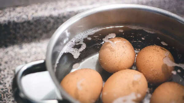 egg 78